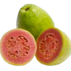 goiabas goiabas