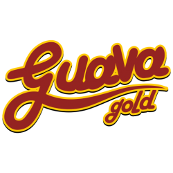 logo-guava-512x512